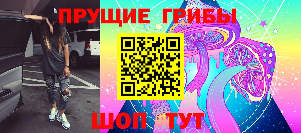 Галлюциногенные грибы Psilocybe Краснознаменск